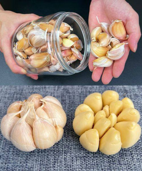Aglio sempre fresco e intatto per 1 anno: solo gli chef conoscono questo trucchetto in cucina