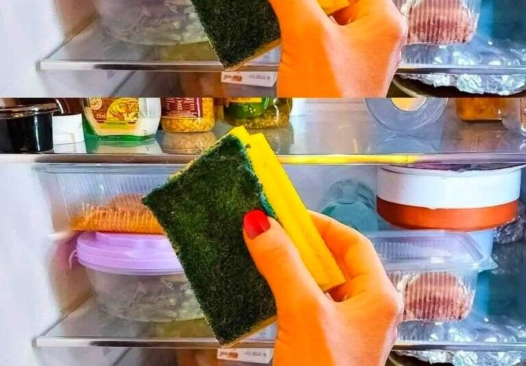 Mettere la spugna in frigorifero: il consiglio che ti fa risparmiare