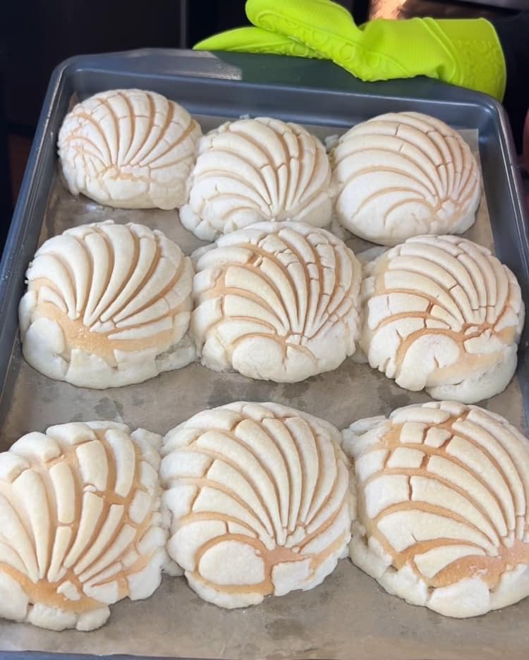 RICETTA CON CONCHIGLIE MESSICANA