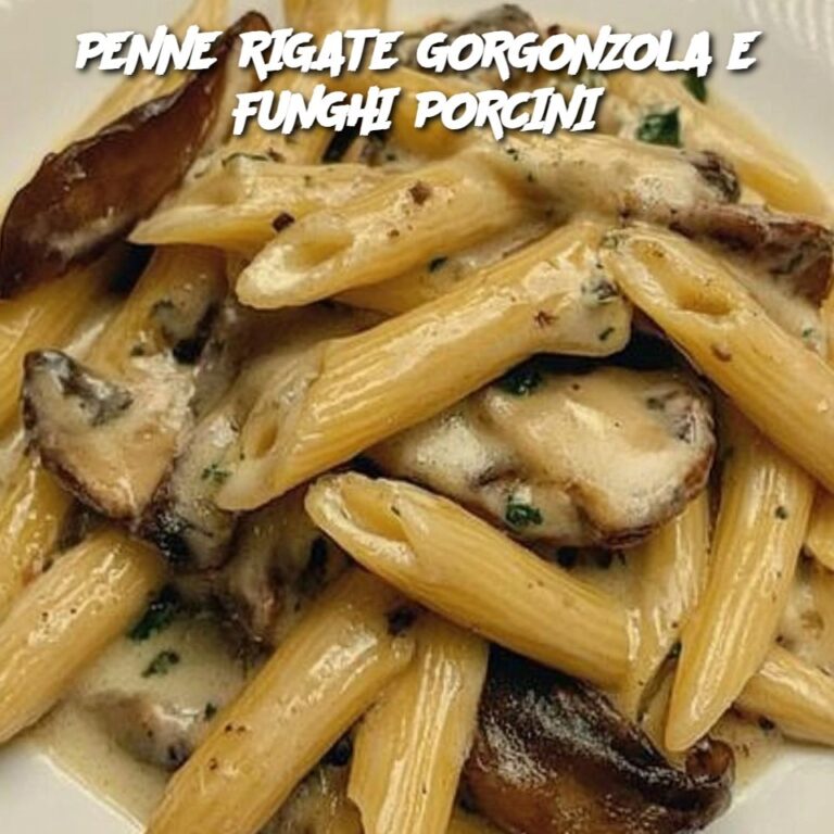 PENNE RIGATE GORGONZOLA E FUNGHI PORCINI