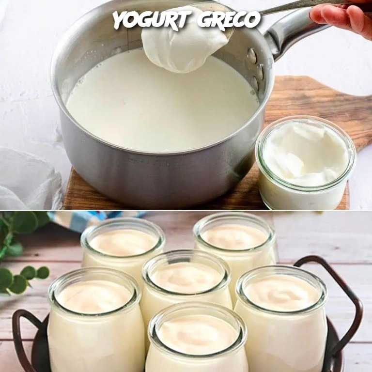 yogurt greco
