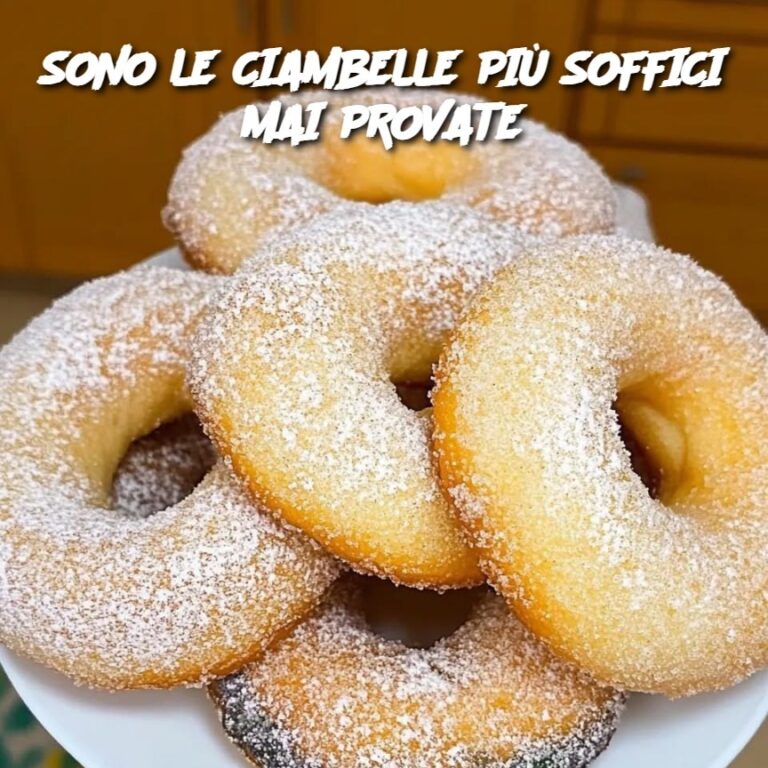 SONO LE CIAMBELLE PIÙ SOFFICI MAI PROVATE