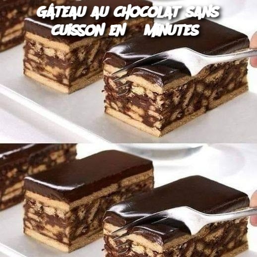 Torta al cioccolato senza cottura in 5 minuti