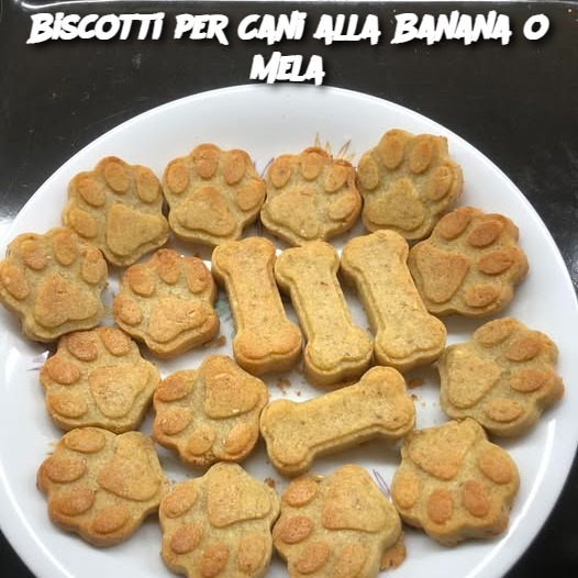 Biscotti per Cani alla Banana o Mela