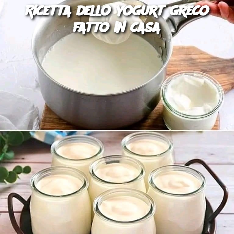 Ricetta dello yogurt greco fatto in casa