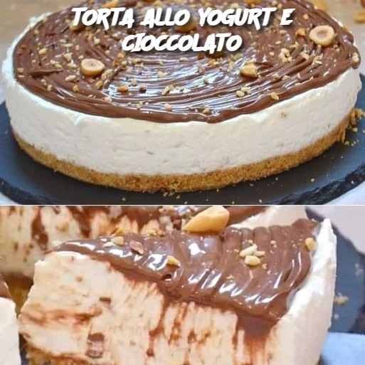 TORTA ALLO YOGURT E CIOCCOLATO