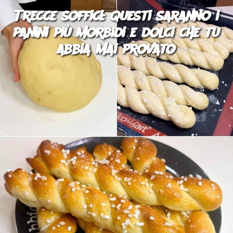 Trecce soffici: questi saranno i panini più morbidi e dolci che tu abbia mai provato
