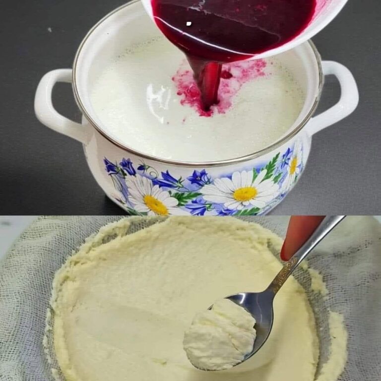 Formaggio di barbabietola fatto in casa con succo di limone