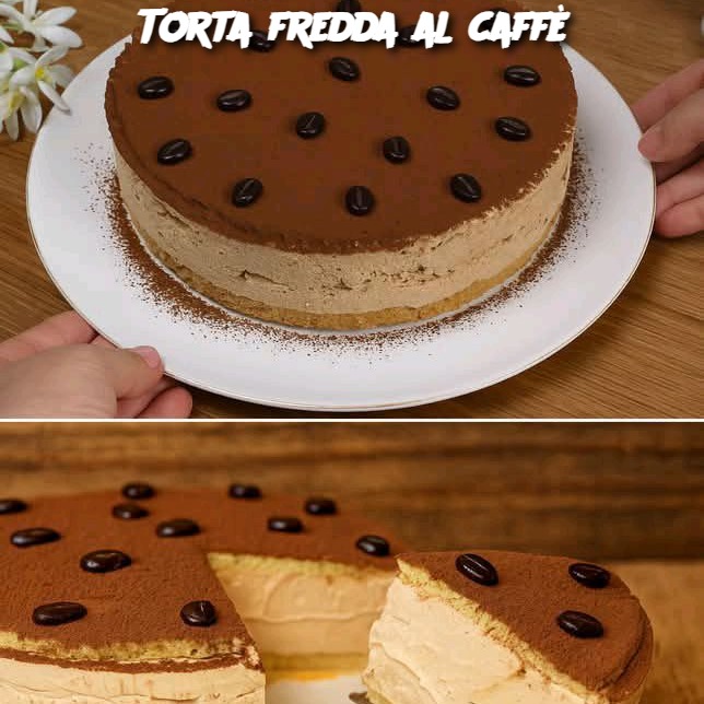 Torta fredda al caffè