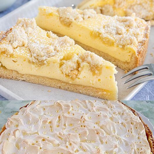 Torta di neve con 1 confezione di budino alla vaniglia e 500 g di ricotta magra