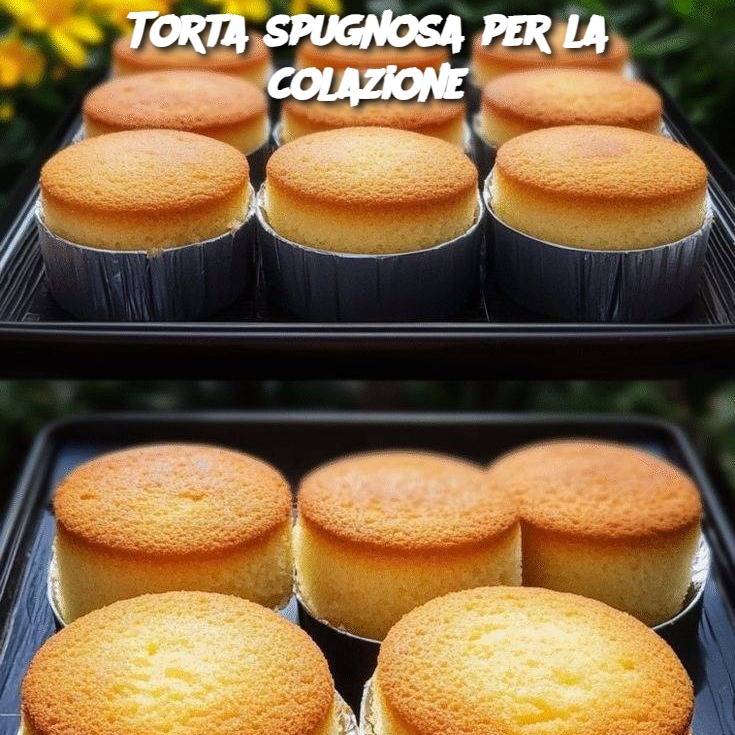 Torta spugnosa per la colazione