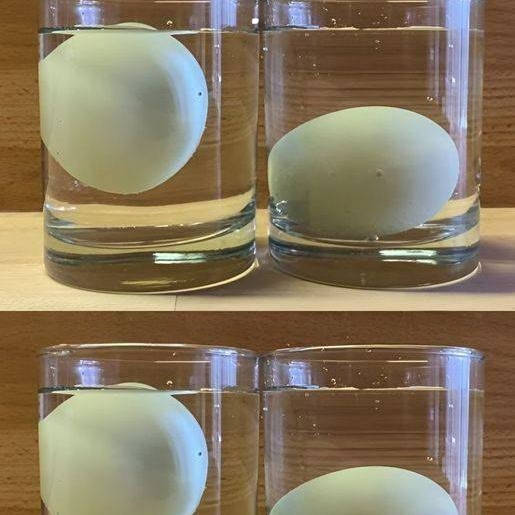 Come Capire se un Uovo è Fresco o Marcio: 5 Metodi Infallibili