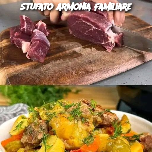 Stufato Armonia Familiare