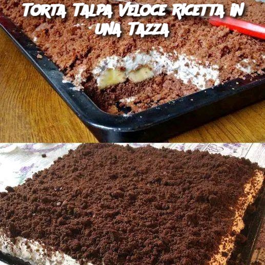 Torta Talpa Veloce Ricetta in una Tazza