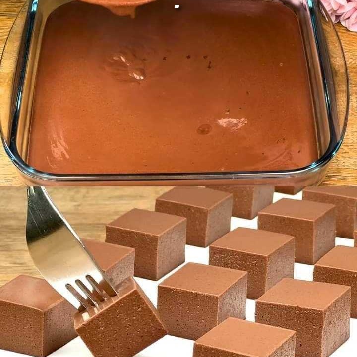 Budino al cioccolato fondente con agar agar