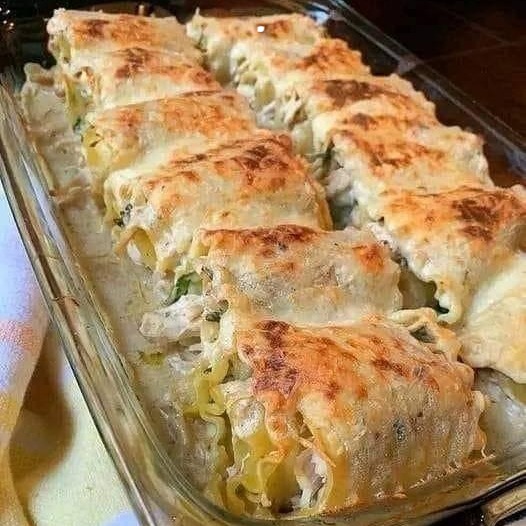 Rotoli Alfredo con lasagna cremosa al pollo