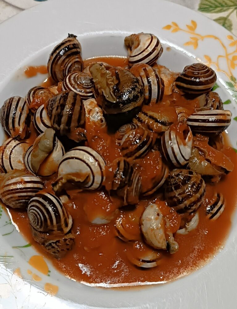 Lumache con sughetto