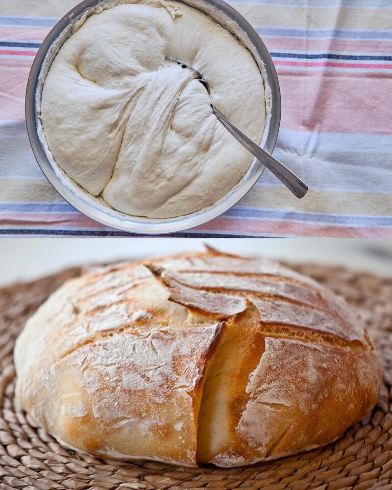 La ricetta del pane in 5 minuti: veloce, facile e senza impasto