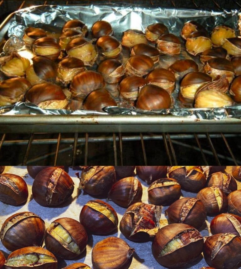 Castagne al Forno: L’alternativa più salutare alle caldarroste