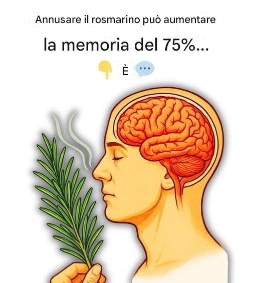 Annusare il rosmarino migliora davvero la memoria?